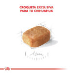 Chihuahua Adulto - Imagen 5