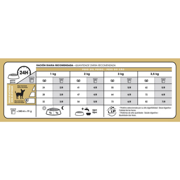 Chihuahua Adulto - Imagen 7